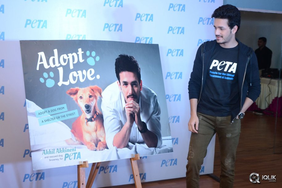 Akhil-Akkineni-at-Peta-Event